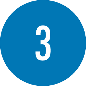(3)